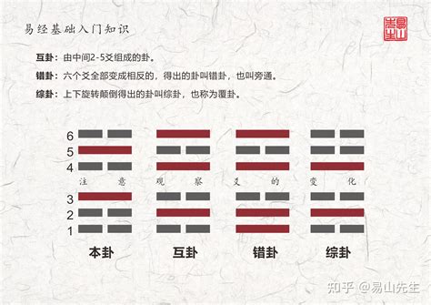 巽卦代表什么